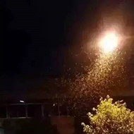 白蟻危害大，4-6月份進(jìn)入其活躍期 防治白蟻不容忽視！